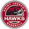 Hawks Baseball Avatar